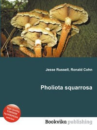 Pholiota squarrosa