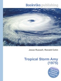 Tropical Storm Amy (1975)