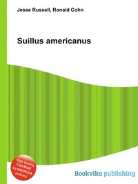 Suillus americanus