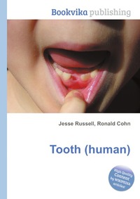 Tooth (human)