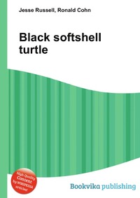 Black softshell turtle