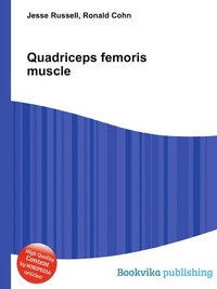 Jesse Russel - «Quadriceps femoris muscle»