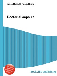 Bacterial capsule
