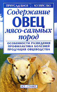 Содержание овец мясо-сальных пород