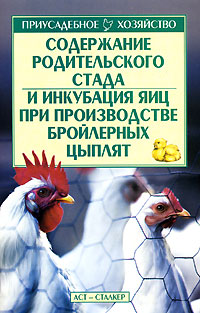 Содержание родительского стада и инкубация яиц при производстве бройлерных цыплят
