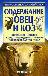 Содержание овец и коз
