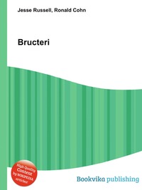 Bructeri