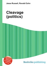 Cleavage (politics)