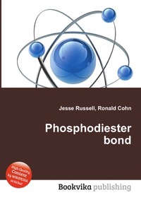 Phosphodiester bond