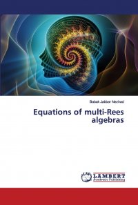 Babak Jabbar Nezhad - «Equations of multi-Rees algebras»