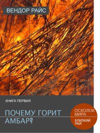 Книга Вендор Райс Почему горит амбар