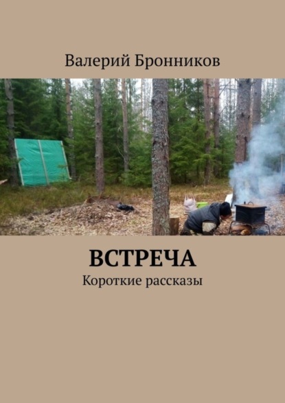 Книга Валерий Бронников Встреча. Короткие рассказы