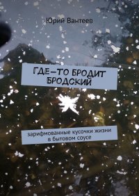 Книга Юрий Вантеев Где-то бродит Бродский. Зарифмованные кусочки жизни в бытовом соусе