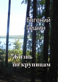 Книга Евгений Гешин Жизнь по крупицам