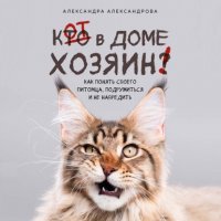 Книга Александра Александрова Кот в доме хозяин! Как понять своего питомца, подружиться и не навредить