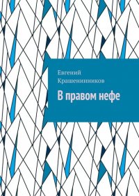 Книга Евгений Крашенинников В правом нефе