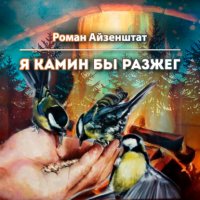 Книга Роман Айзенштат Я камин бы разжег