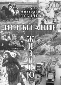 Книга Анатолий Лубичев Испытание жизнью