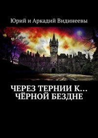 Книга Юрий и Аркадий Видинеевы Через тернии к… чёрной бездне