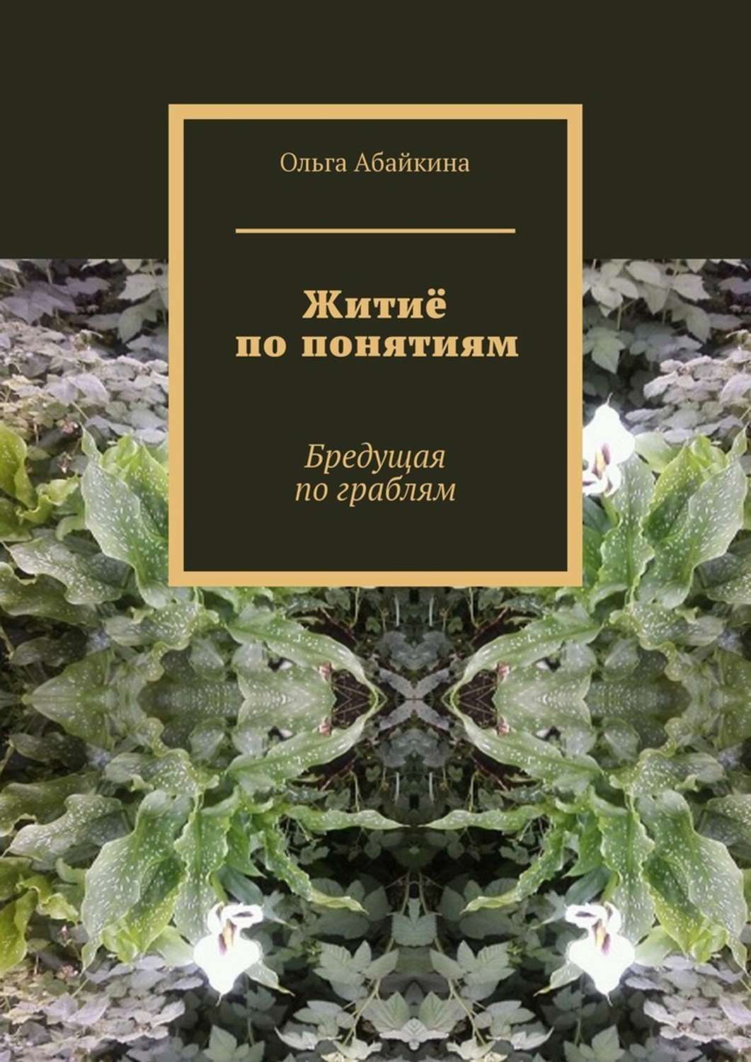 Книга Ольга Абайкина Житиё по понятиям. Бредущая по граблям