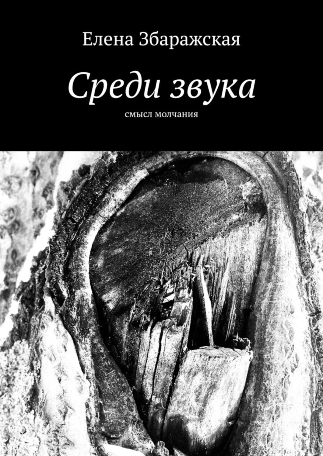 Книга Елена Збаражская Среди звука. Смысл молчания