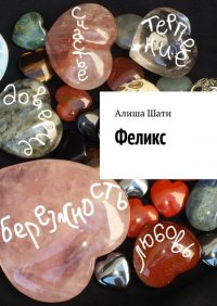 Книга Алиша Шати Феликс