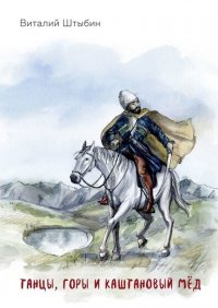 Книга Виталий Штыбин Танцы, горы и каштановый мёд