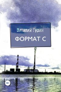 Книга Виталий Гурин Формат С