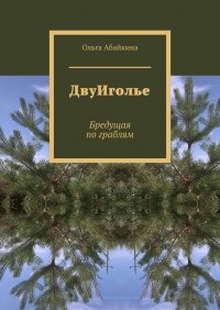 Книга Ольга Абайкина ДвуИголье. Бредущая по граблям