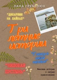 Книга Лана Гребенюк Три летние истории