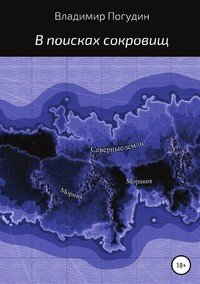 Книга Владимир Анатольевич Погудин В поисках сокровищ