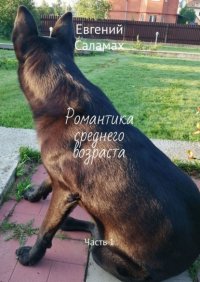 Книга Евгений Саламах Романтика среднего возраста. Часть 1