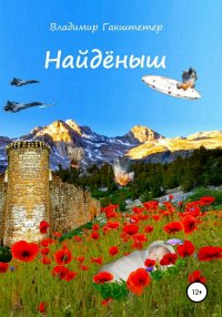 Книга Владимир Гакштетер Найдёныш