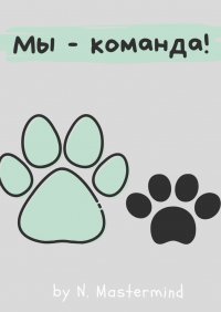 Книга Nastya Mastermind Мы – команда!