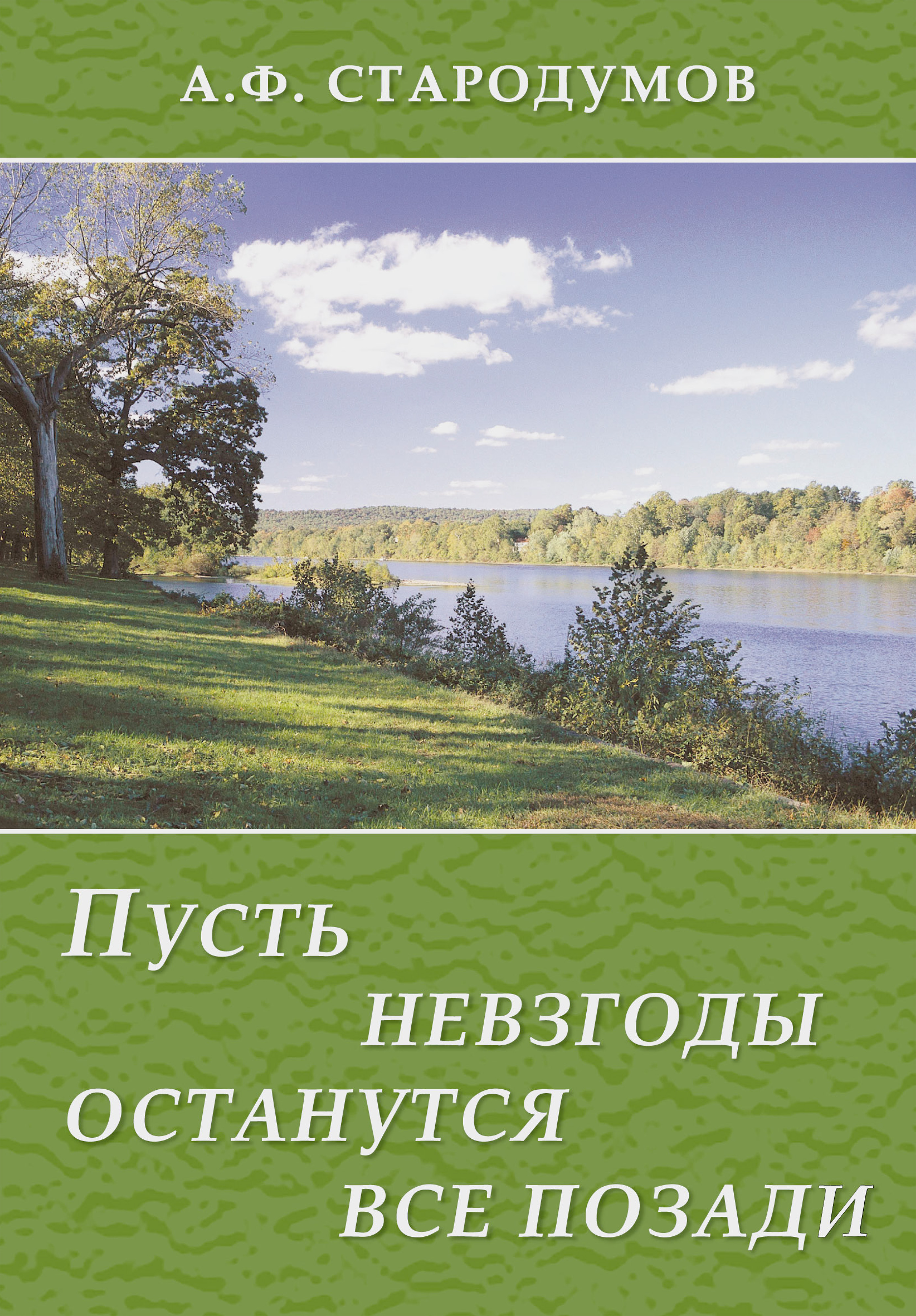 Книга Александр Стародумов Пусть невзгоды останутся все позади