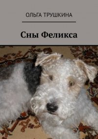 Книга Ольга Трушкина Сны Феликса