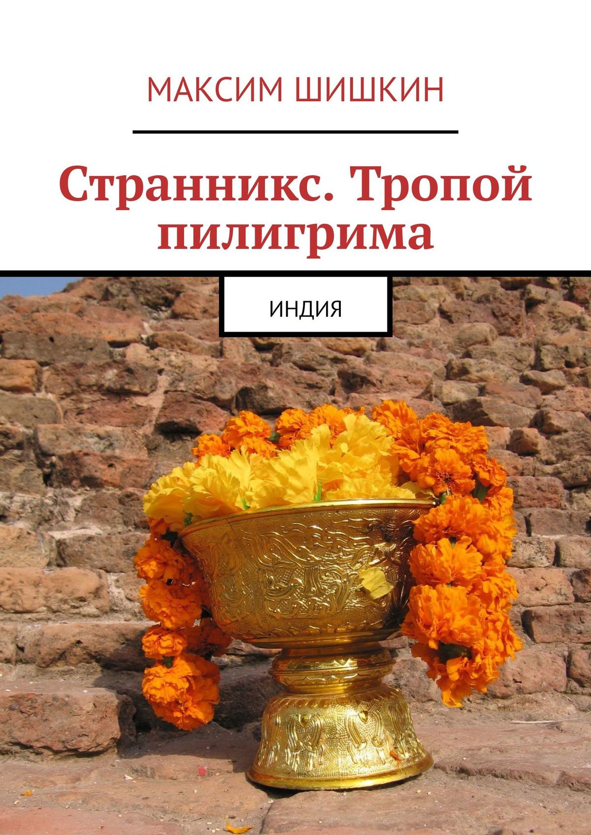 Книга Максим Шишкин Странникс. Тропой пилигрима. Индия