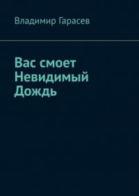 Книга Владимир Гарасев Вас смоет Невидимый Дождь