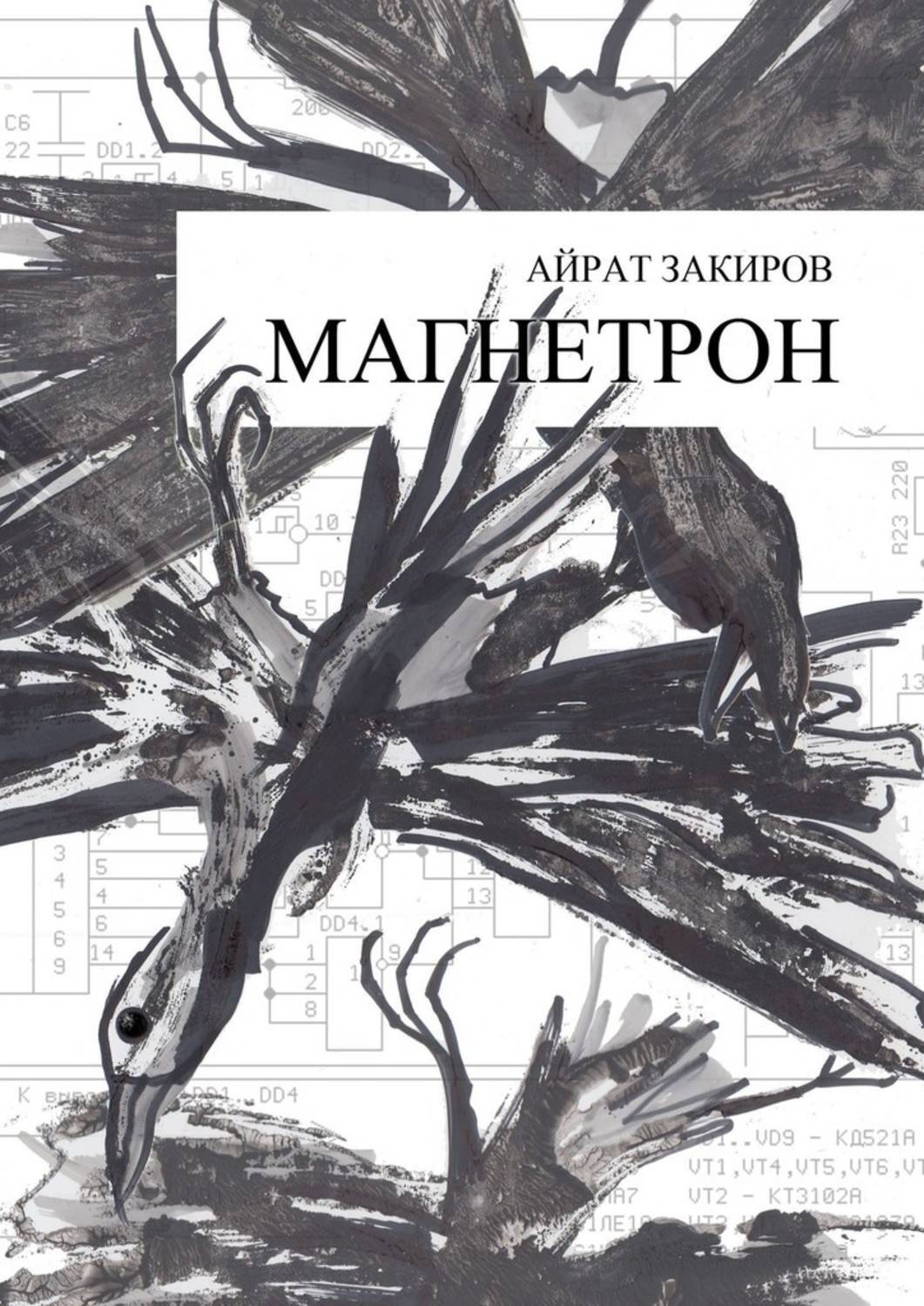 Книга Айрат Закиров Магнетрон
