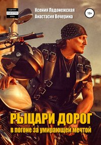 Книга Анастасия Вечерина Рыцари дорог. В погоне за умирающей мечтой