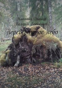 Книга Валерий Бронников Перевёрнутое небо