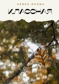 Книга Арина Малых Классная