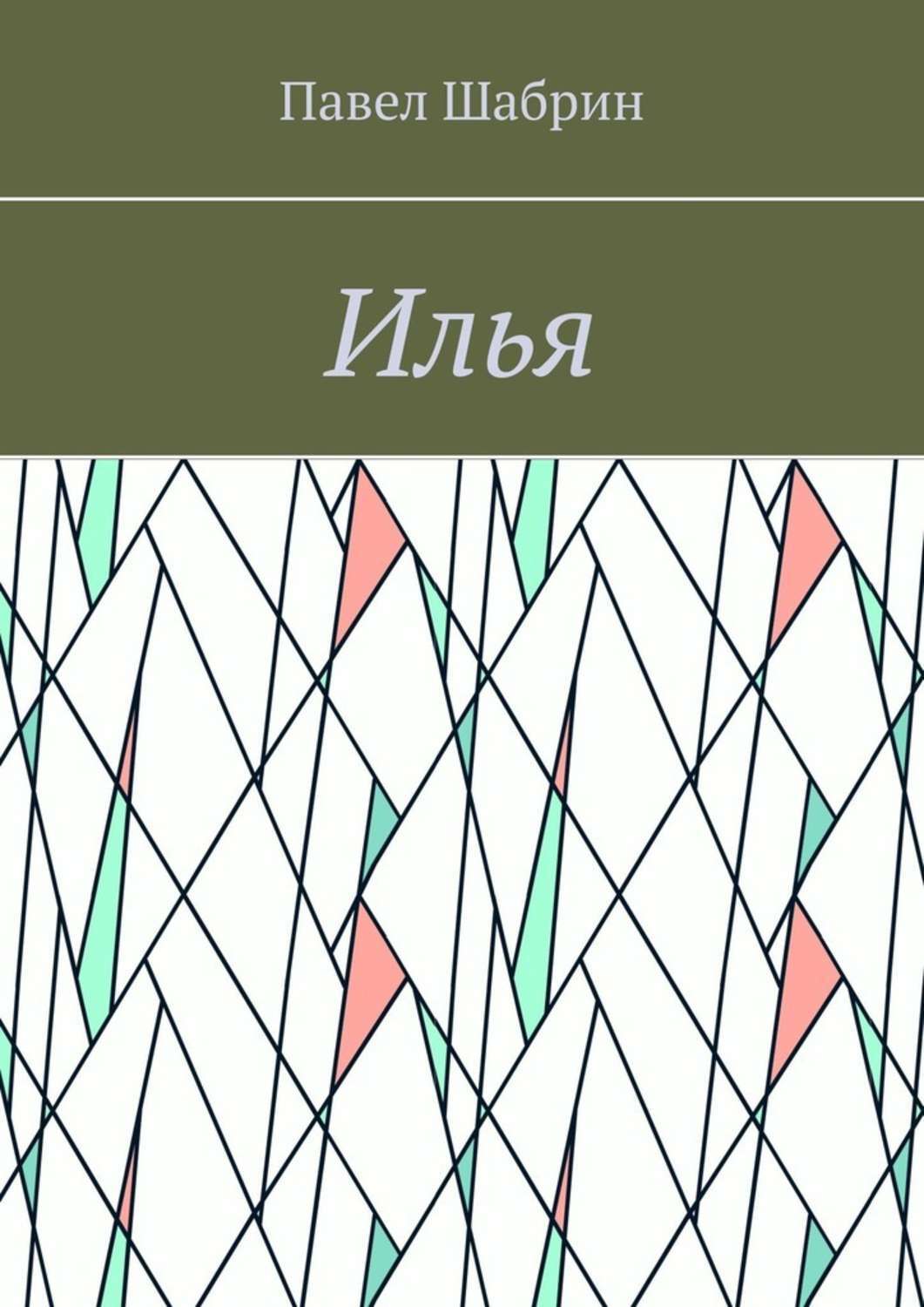 Книга Павел Шабрин Илья