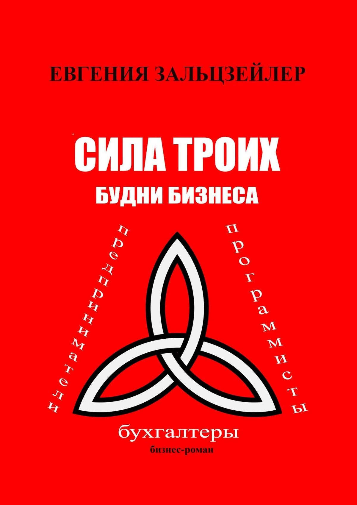 Книга Евгения Зальцзейлер Сила троих. Будни бизнеса