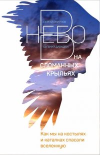 Книга Евгений Давидюк В небо на сломанных крыльях. Как мы на костылях и каталках спасали Вселенную
