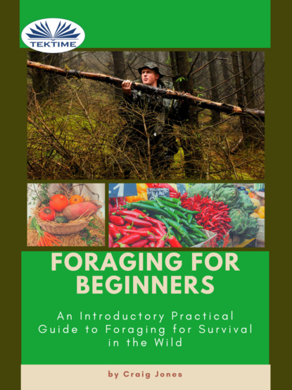 Книга Craig Jones Foraging For Beginners