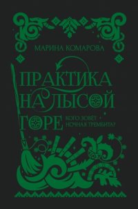 Книга Марина Комарова Практика на Лысой горе
