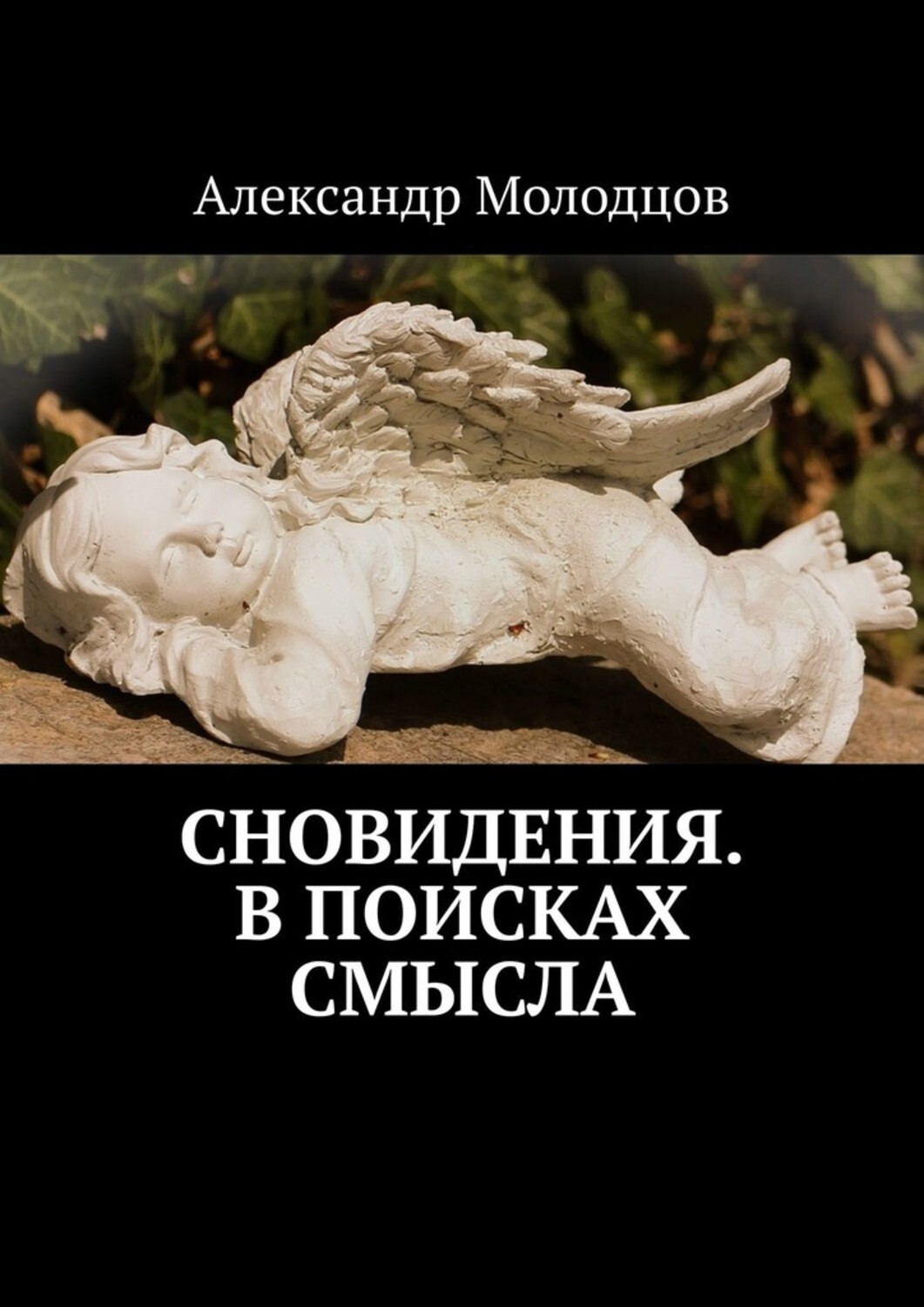 Книга Александр Молодцов Сновидения. В поисках смысла
