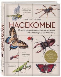 Книга Михаил Куценко Насекомые. Иллюстрированная энциклопедия начинающего энтомолога (240 популярных видов, которые обитают рядом с нами)