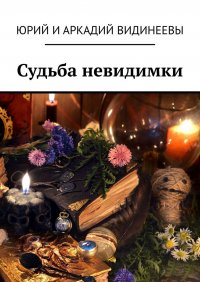 Книга Юрий и Аркадий Видинеевы Судьба невидимки